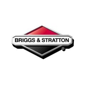 Briggs & Stratton